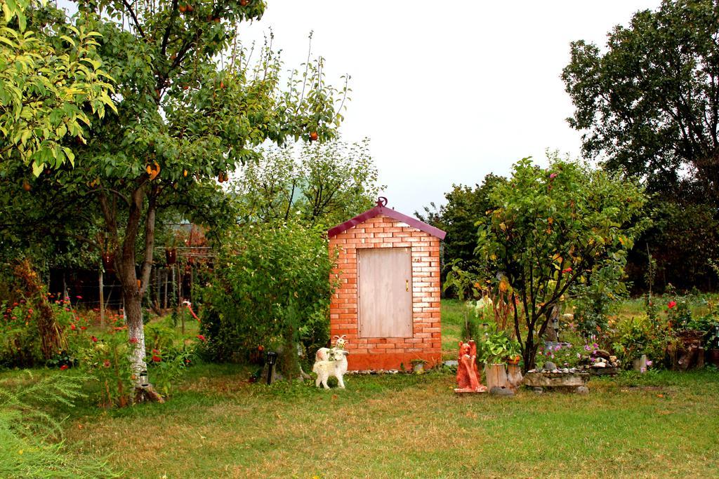 Guest House Melissa Duisi Buitenkant foto