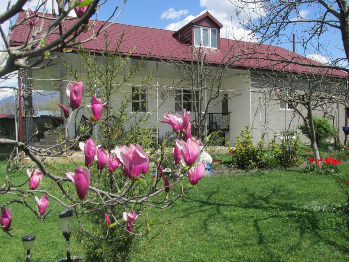 Guest House Melissa Duisi Buitenkant foto
